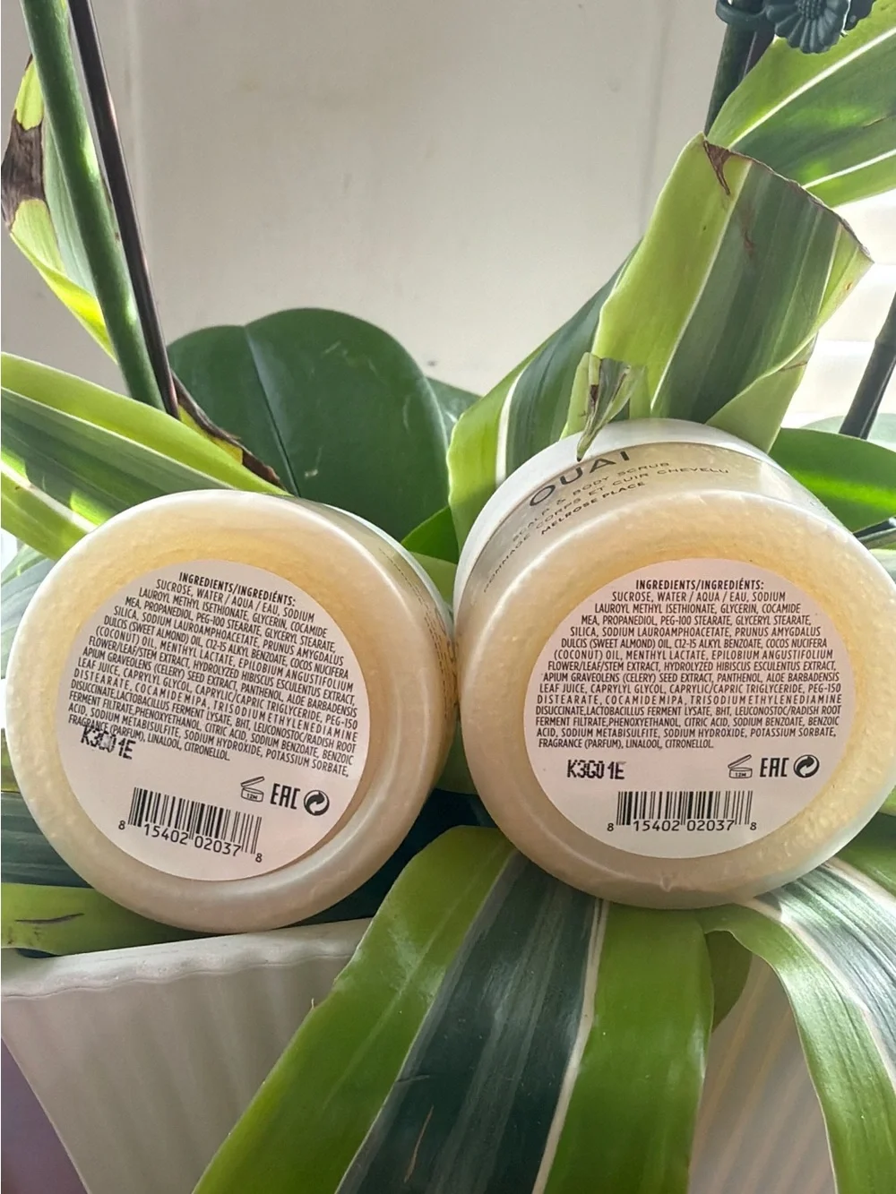 OUAI Scalp & Body Scrub Pair - White Lids with Yellow Jars